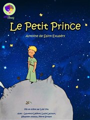 Le Petit Prince Thtre Pixel Affiche