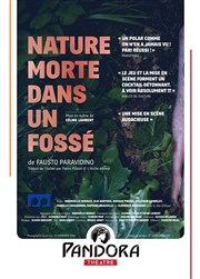 Nature morte dans un fossé Pandora Thtre Affiche