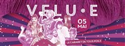 Velu.e - Cabaret de tous poils - Le Cirque Electrique Le Cirque lectrique Affiche