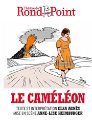 Le caméléon Thtre du Rond Point - Salle Roland Topor Affiche