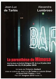 La Parenthèse du mimosa Le Grand petit thtre Affiche