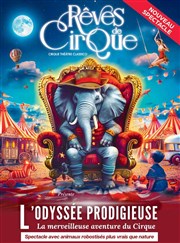 Rêves de Cirque dans L'Odyssée Prodigieuse | Avignon Chapiteau Rves de Cirque  Avignon Affiche