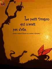 Le petit dragon qui n'avait pas d'aile Thtre de la violette Affiche