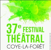 Le misanthrope (vs politique) Centre Culturel Coye la Fort Affiche