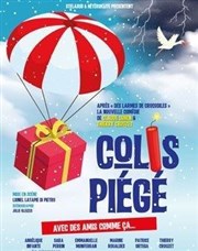 Colis piégé L'espace V.O Affiche