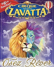 Cirque Nicolas Zavatta Douchet | Dreux Chapiteau Cirque Nicolas Zavatta Douchet Affiche