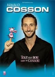 Arnaud Cosson dans Tout est bon dans le Cosson Le Point Virgule Affiche