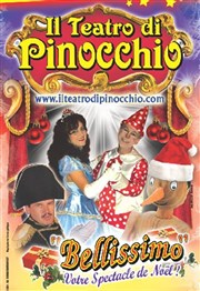 Il teatro di Pinocchio Chapiteau Il Teatro di Pinocchio  Baillet en France Affiche