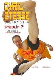 Cyril Etesse dans Shaolin? Wmc Artist's Corner Affiche