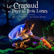 Le crapaud au pays des trois lunes Thtre des Bergeries Affiche