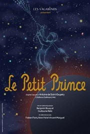 Le Petit Prince Thtre Essaion Affiche