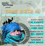 Nabil Baly Studio de L'Ermitage Affiche