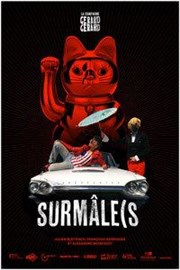 Surmâle(s) Kawa Thtre Affiche