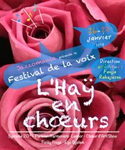 Festival de la voix Espace Dispan de Floran Affiche