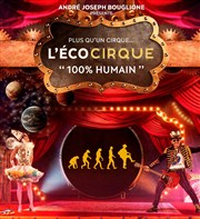 L'Ecocirque 100% humain | à Lyon Chapiteau de lEcocirque  Lyon Affiche