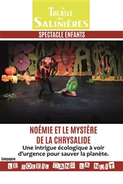 Noémie et le mystère de la chrysalide Thtre des Salinires Affiche