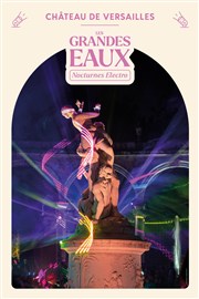 Les Grandes Eaux Nocturnes Electro 2025 Jardin du chteau de Versailles - Entre Cour d'Honneur Affiche