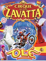 Cirque Nicolas Zavatta Douchet | Trappes Chapiteau du Cirque Nicolas zavatta Douchet  Trappes Affiche