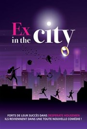 Ex in the city La Comdie du Mas Affiche