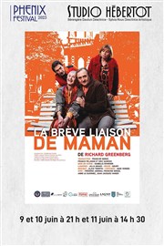 La brève liaison de maman Studio Hebertot Affiche