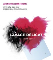 Lavage délicat Thtre le Proscenium Affiche