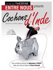 Cochons d'Inde Le Raimu Affiche