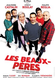 Les beaux pères Zinga Zanga Affiche