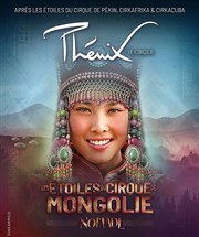 Cirque Phenix : Nomade par Les Etoiles Du Cirque de Mongolie Cirque Phnix Affiche