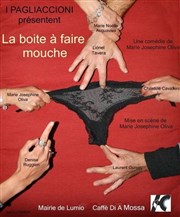 La boîte à faire mouche Thtre du Petit Merlan Affiche