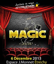 The Magic Show Espace Jean Monnet Affiche