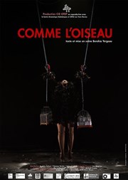 Comme l'oiseau Le Comptoir Affiche