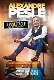 Alexandre Pesle dans Le Pesletâcle Tte de l'Art 74 Affiche