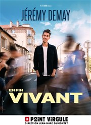 Jérémy Demay dans Enfin vivant Le Point Virgule Affiche