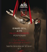 Cie Métamorphe Palais des Congrs de Perpignan Affiche