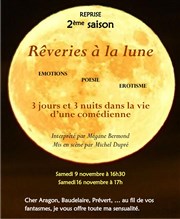 Rêveries à la lune Thtre du Gouvernail Affiche