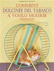 Comment Dulcinée del Tabasco a voulu mourir Thtre Darius Milhaud Affiche