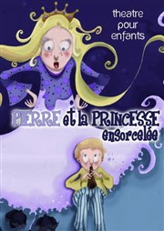 Pierre Et la Princesse ensorcelée Thtre du Cours Affiche