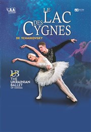 Le Lac des Cygnes | The Ukrainian Ballet of Odessa L'InterValle Affiche