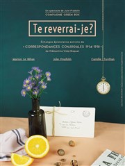 Te reverrai-je ? Lavoir Moderne Parisien Affiche