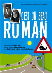 C'est un beau roman Thtre L'Autre Carnot Affiche