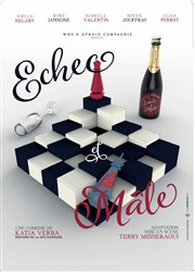 Échec et mâle Tho Thtre - Salle Plomberie Affiche