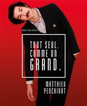 Matthieu Penchinat dans Tout seul comme un grand La Nouvelle Seine Affiche