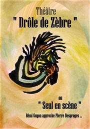 Rémi Guyon dans Drôle de Zèbre Thtre de Nesle - petite salle Affiche