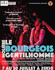 Le Bourgeois Gentilhomme Thtre du Roi Ren - Salle du Roi Affiche