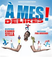 Ahmed Sylla dans A mes délires ! Thtre Acte 2 Affiche