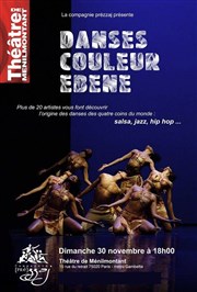 Danses couleur ébène Thtre de Mnilmontant - Salle Guy Rtor Affiche