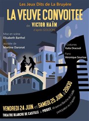 La veuve convoitée Thtre Blanche de Castille Affiche