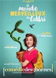 Le monde merveilleux du colibri Comdie des 3 Bornes Affiche