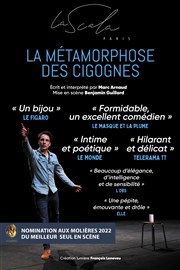 La métamorphose des cigognes La Scala Paris Affiche