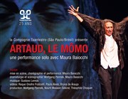 Artaud, le Mômo Thtre de Nesle - grande salle Affiche